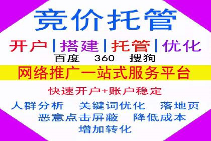 行业专家解析SEM代运营成功案例
